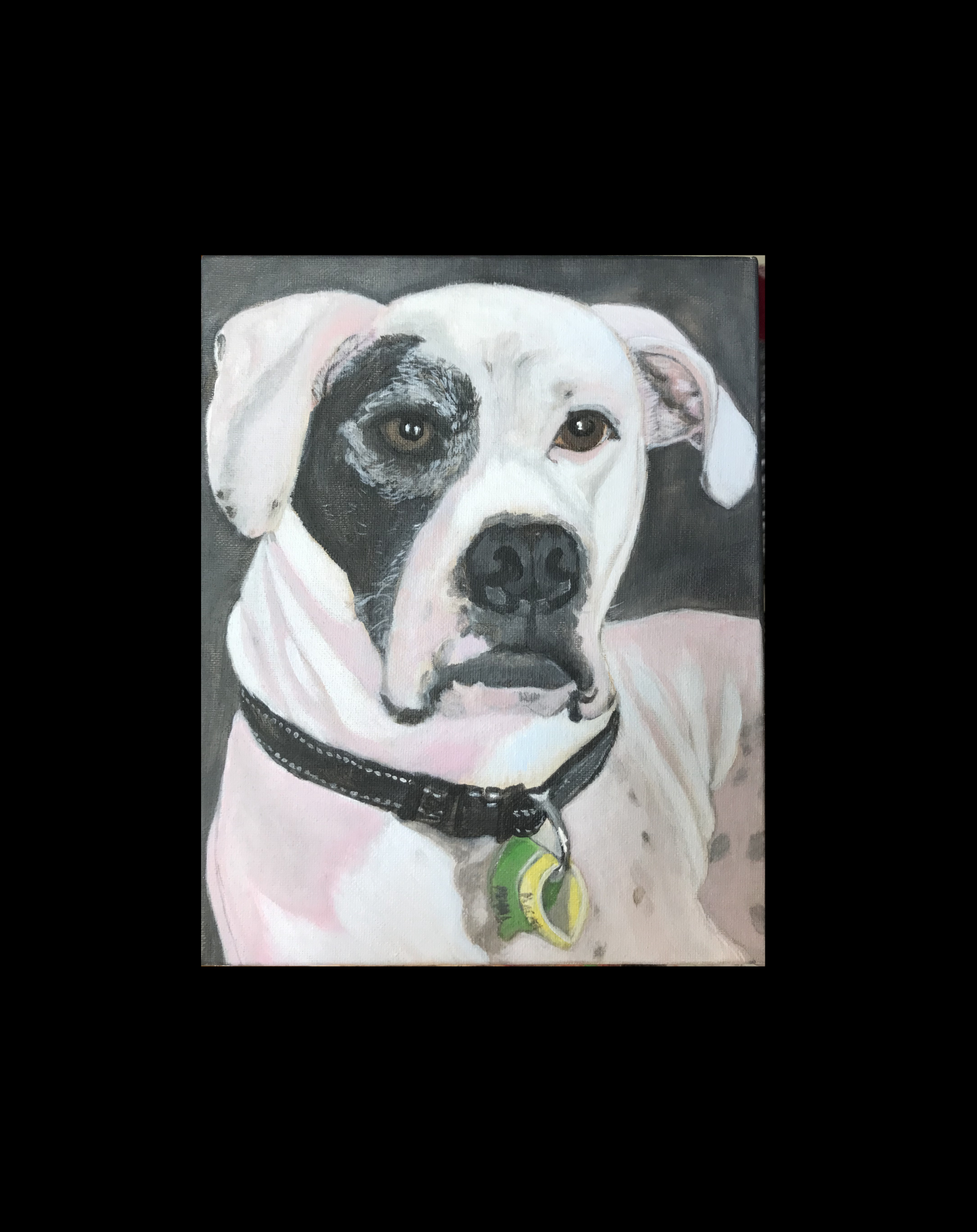 Pet Portrait Title 2